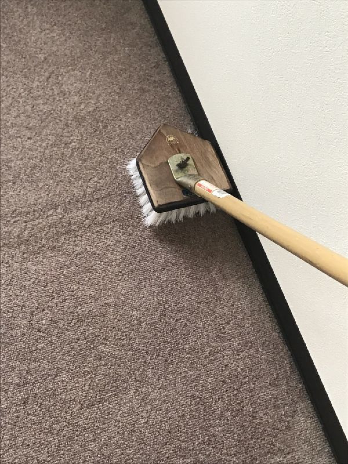 画像5: カーペットクリーニング